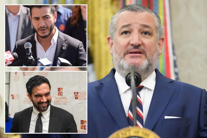 Ted Cruz: El Sayed and Mamdani embody ‘toxic stew’ of communism and Islamism