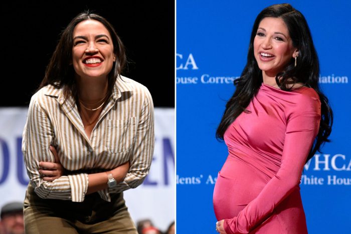 Katie Miller praises AOC’s egg freezing: ‘We need more babies’