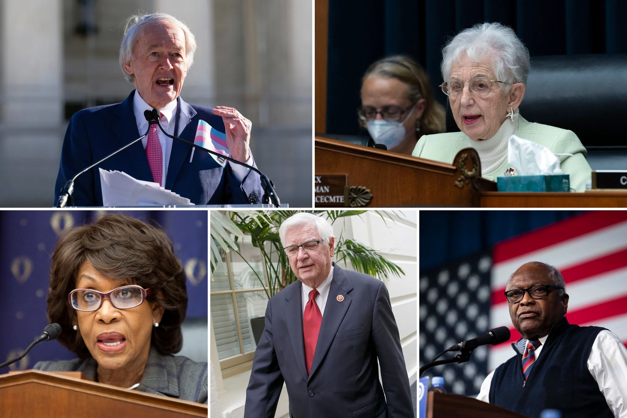 Here are the 10 oldest members of Congress running for reelection