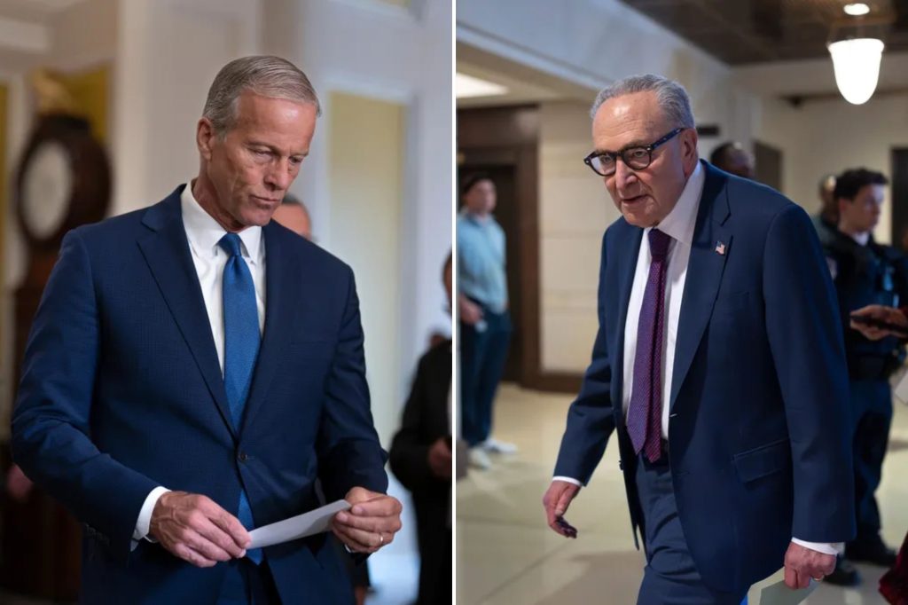 Thune and Schumer avoid recess travel blitz amid increasing unpopularity