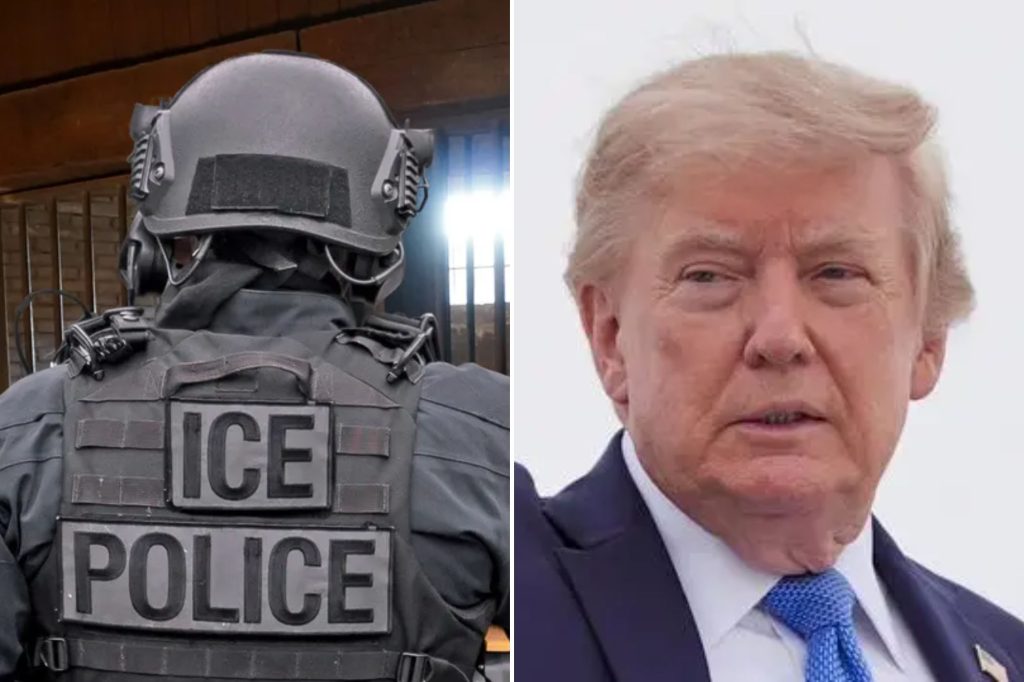 Half of Trump 2024 voters happy with deportations: Poll