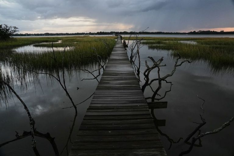 A marsh in South Carolina.