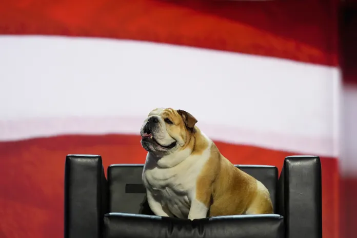 Jim Justice celebrates early birthday for Babydog Justice