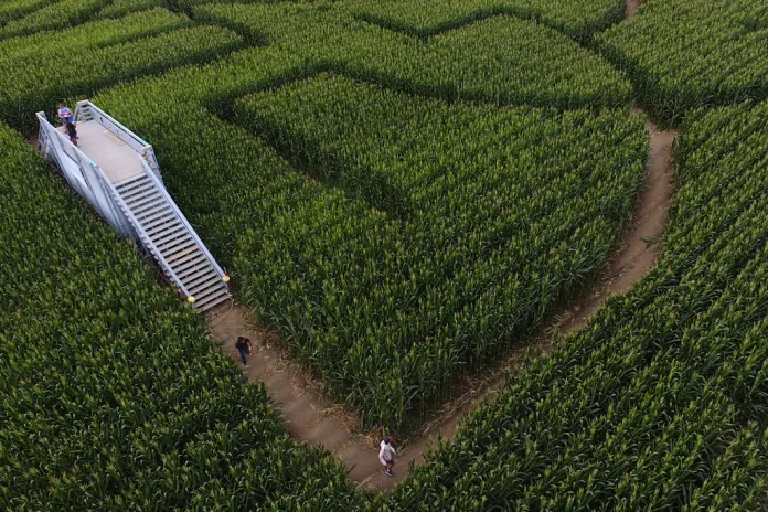 Indiana corn maze addresses backlash over Charlie Kirk design Indiana corn maze addresses backlash over Charlie Kirk design