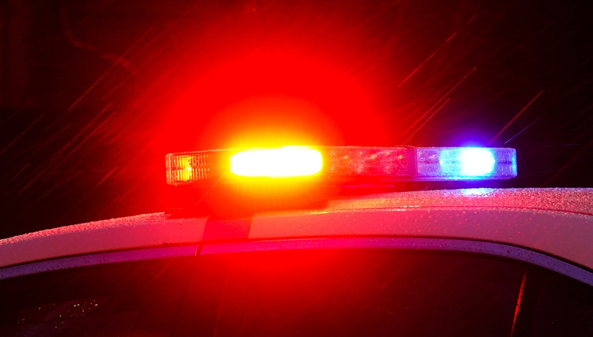 Three dead and four injured in Detroit strip club shooting, police say