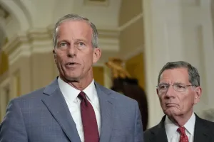 Thune says Republicans at risk of losing Senate majority: ‘I worry about that’