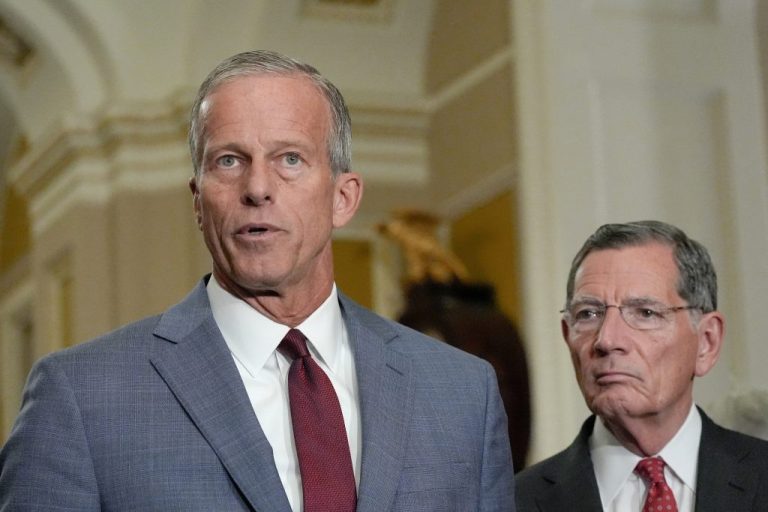 Sen. Majority Leader John Thune (R-SD) left, speaks as Sen. John Barrasso (R-WY) listens.