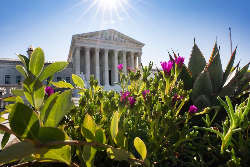 DOJ asks Supreme Court to unblock voter database linking Social Security and citizenship records