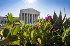 DOJ asks Supreme Court to unblock voter database linking Social Security and citizenship records
