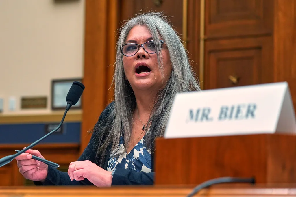 Patricia Fox speaks during a House Judiciary Committee hearing
