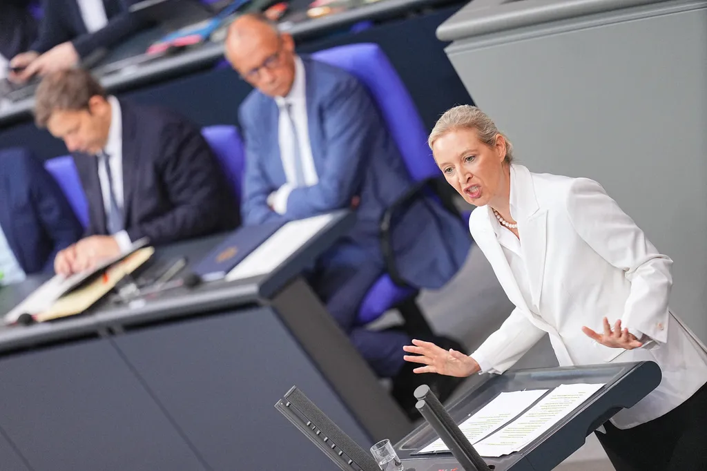 Merz accuses AfD of ‘ethnic cleansing’ agenda, postpones call with Trump after president praises party
