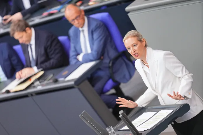 Merz postpones call with Trump after president praises AfD party Merz postpones call with Trump after president praises AfD party