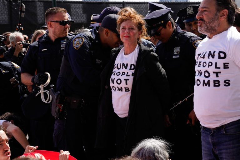 Susan Sarandon, center, and other demonstrators are arrested by a flock of officers ahead of Israeli Prime Minister Benjamin Netanyahu's address at the 81st session of the U.N. General Assembly.
