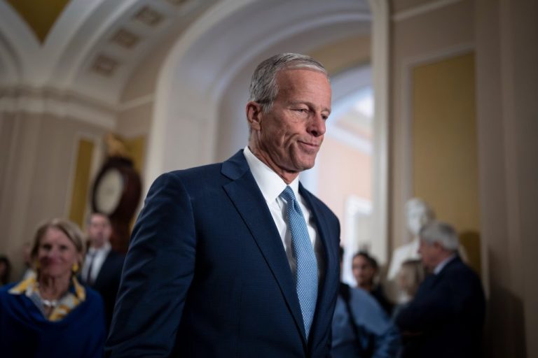 Side profile of Senate Majority Leader John Thune, R-S.D., talking with reporters after a closed-door meeting with fellow Republicans, at the Capitol in Washington, Tuesday, Sept. 29, 2026.