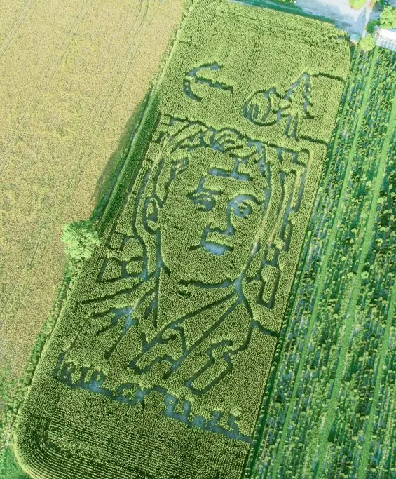Image of Goebel Farms' Charlie Kirk corn maze, announced by the farm in Evansville, Ind.