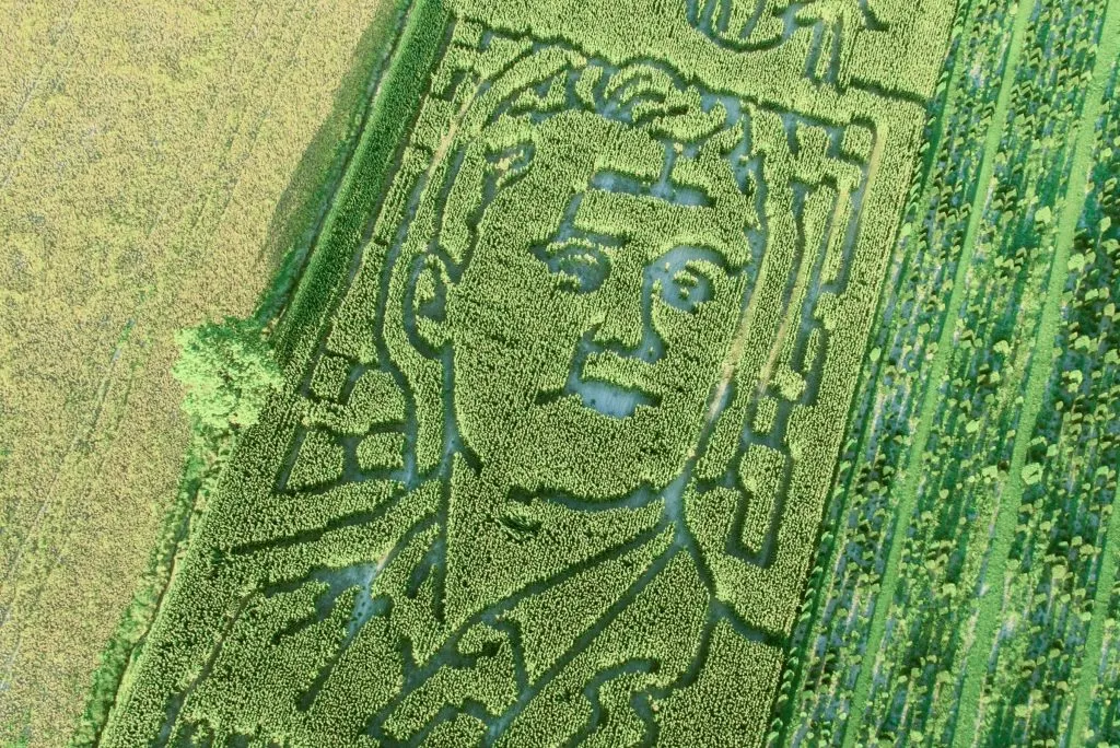 ‘Our hope remains simple’: Indiana farm addresses backlash over Charlie Kirk corn maze design