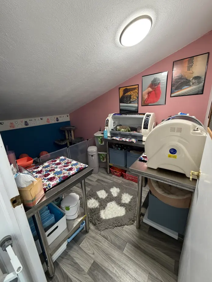 Image of the facility at Itty Bitty City Kitties based in Rockaway Beach, New York City. 