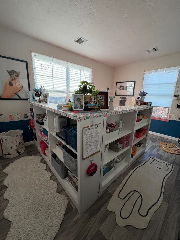 Image of the facility at Itty Bitty City Kitties based in Rockaway Beach, New York City. 