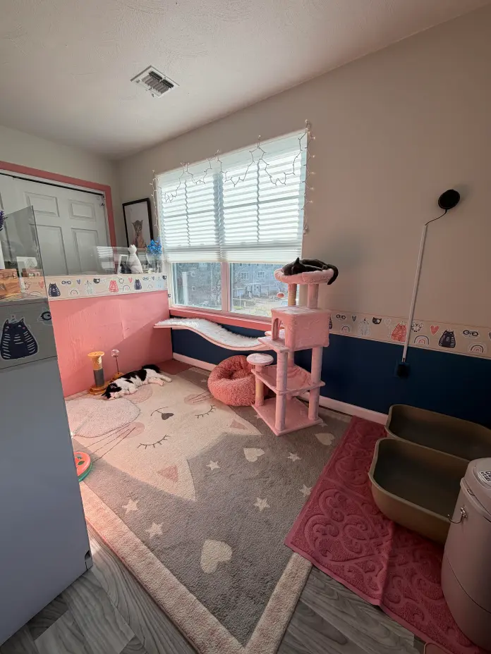 Image of the facility at Itty Bitty City Kitties based in Rockaway Beach, New York City. 