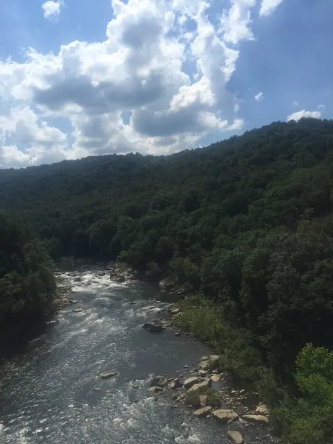 Ohiopyle State Park.
