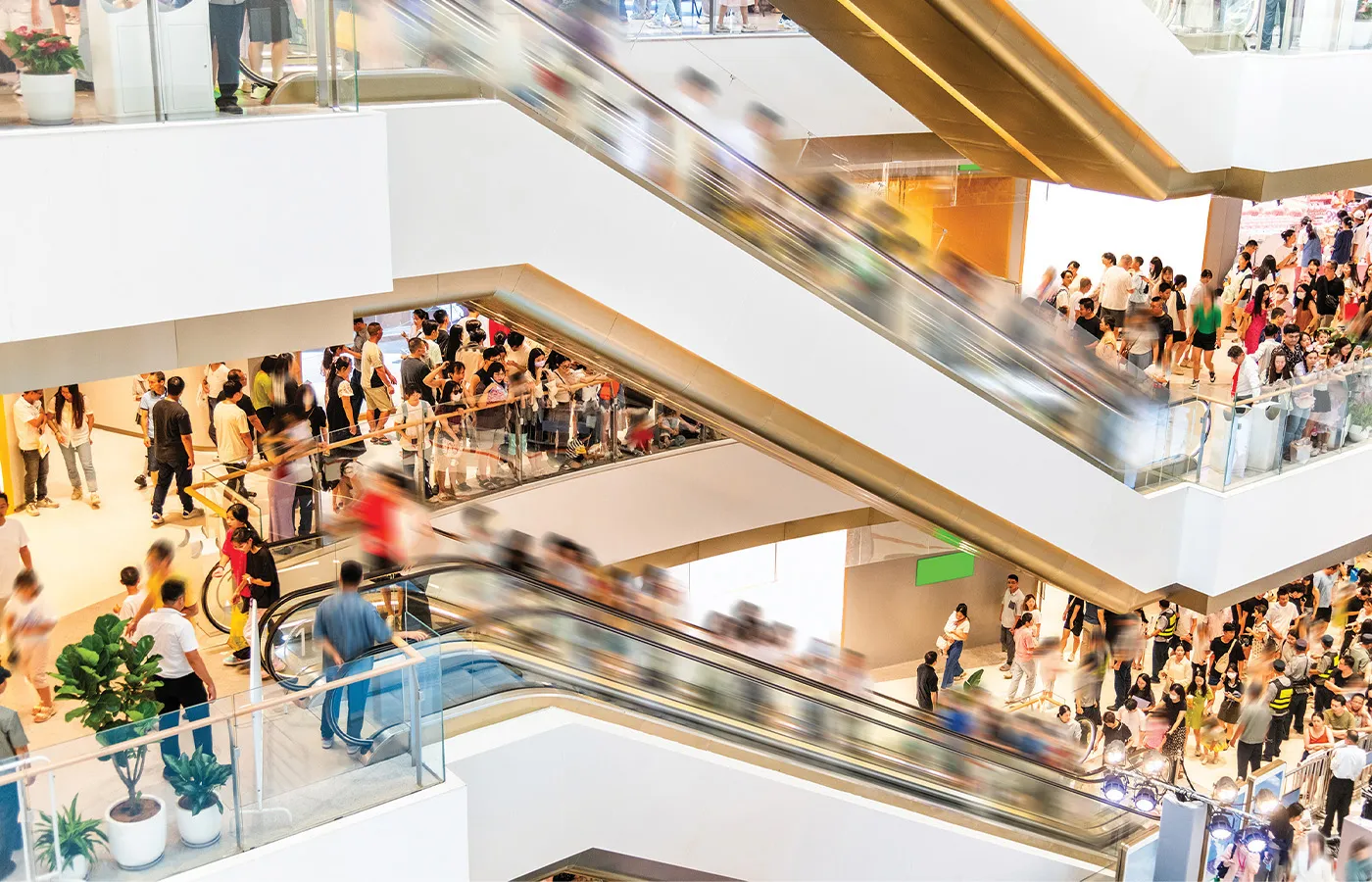Mall criminals: Without law and order, we can’t have nice things