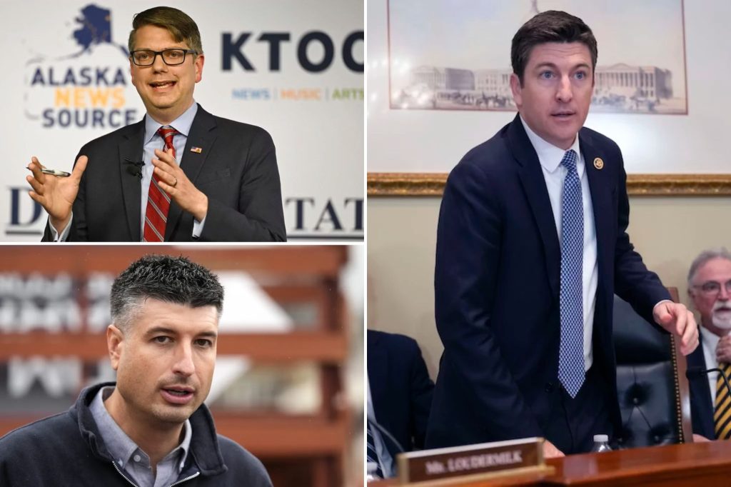 Democrats target three more districts to flip in midterm elections