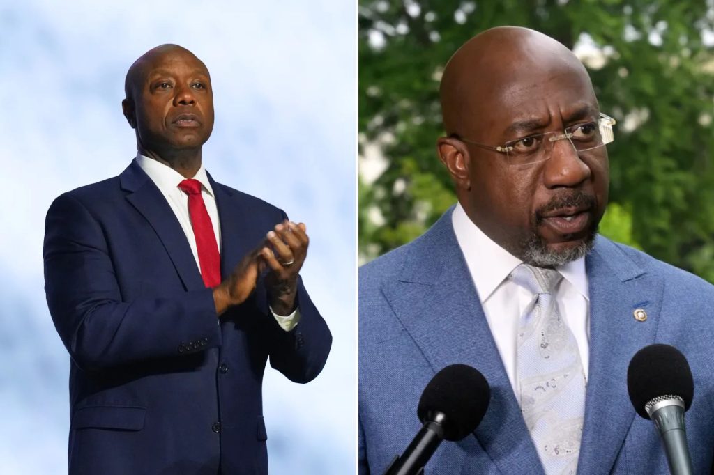 Tim Scott and Raphael Warnock unveil bill to strengthen critical mineral supply chain