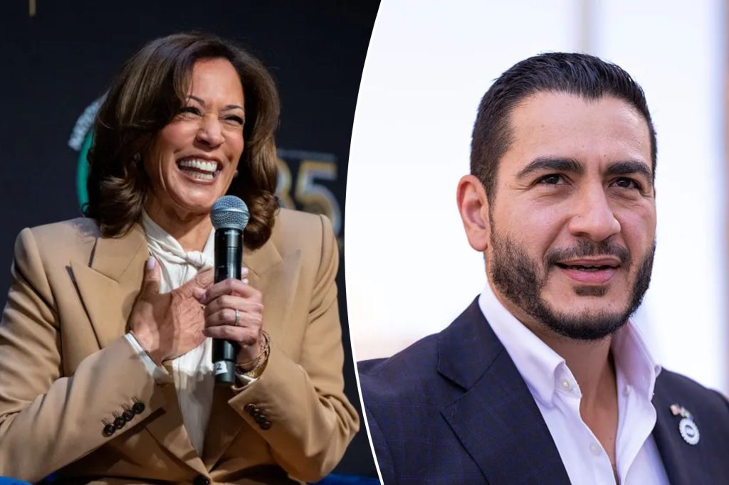 Kamala Harris ‘entirely compatible’ with Abdul el Sayed: Byron York