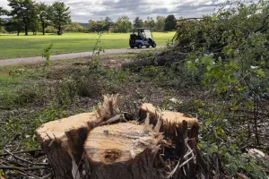 Judge mandates pause on tree removal at East Potomac Golf Links after over 500 cut down