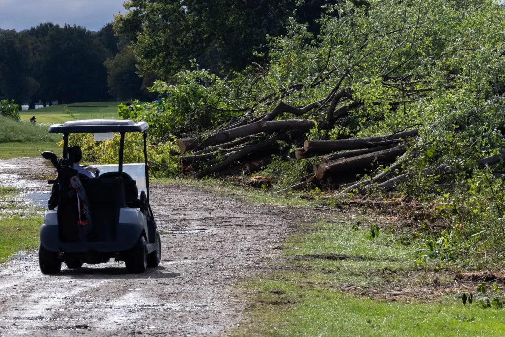 Judge extends ban on tree removals at East Potomac Golf Links for two weeks
