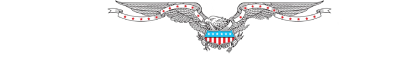 Washington Examiner
