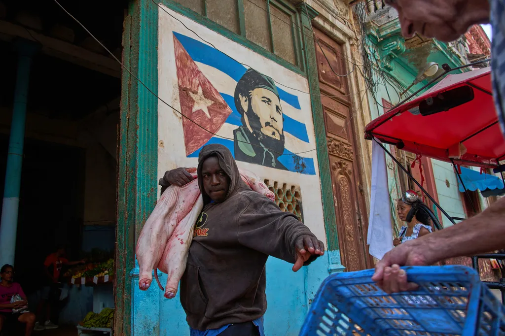Pro-Cuba group tied to regime’s propaganda program builds alliances in Congress