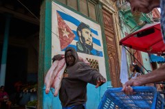 Pro-Cuba group tied to regime’s propaganda program builds alliances in Congress