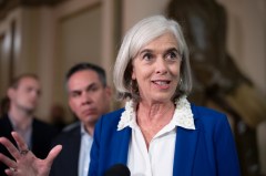House Democratic whip predicts party will win double-digit majority