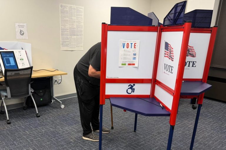 person voting