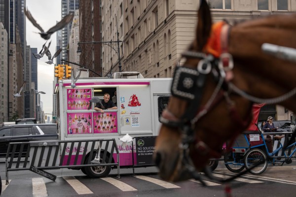 New York City votes to end century-old horse-drawn carriage industry