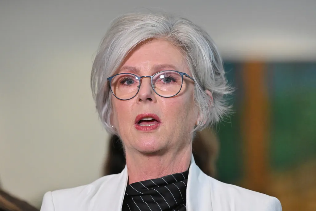 Australian politician struck by car in violent attack loses both legs