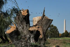 Federal judge blocks further changes to DC golf course