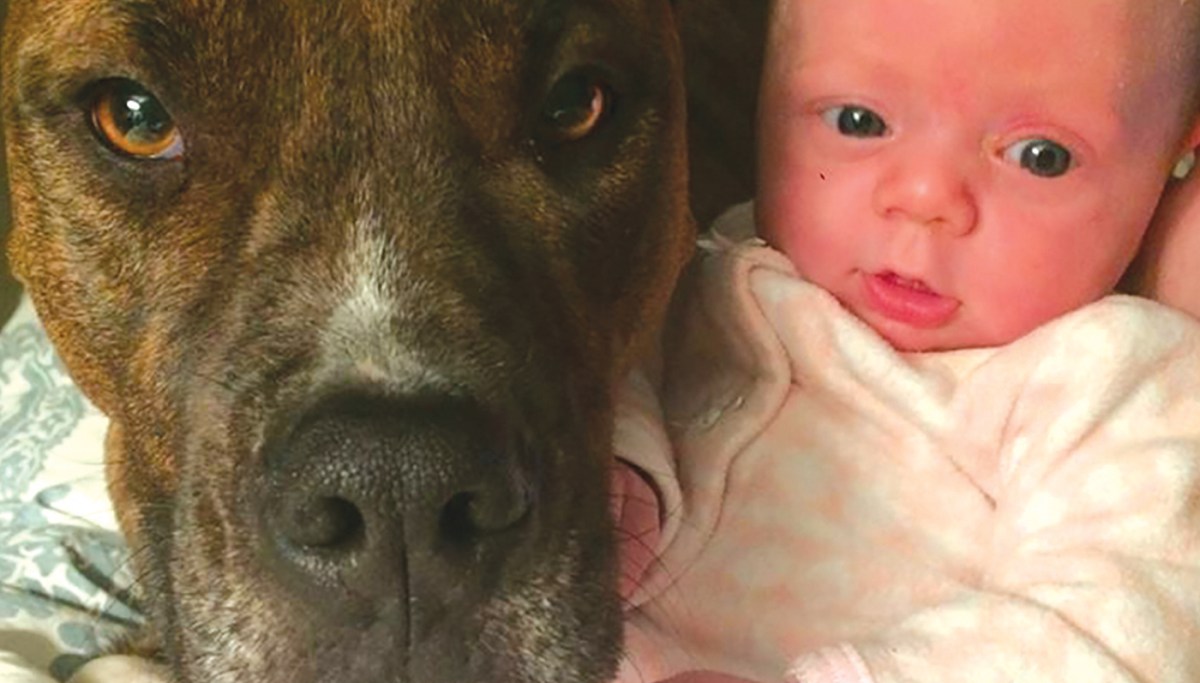 A requiem for a man’s — and a family’s — best friend
