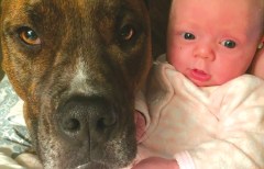 A requiem for a man’s — and a family’s — best friend