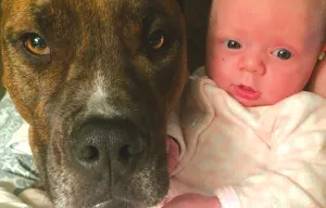 A requiem for a man’s — and a family’s — best friend
