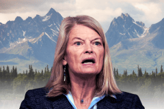 GOP Sen. Lisa Murkowski backs Democrat in Alaska gubernatorial race