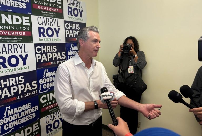 Gov. Gavin Newsom (D-CA) speaks at a campaign event in Nashua, New Hampshire. (David Sivak/Washington Examiner)
