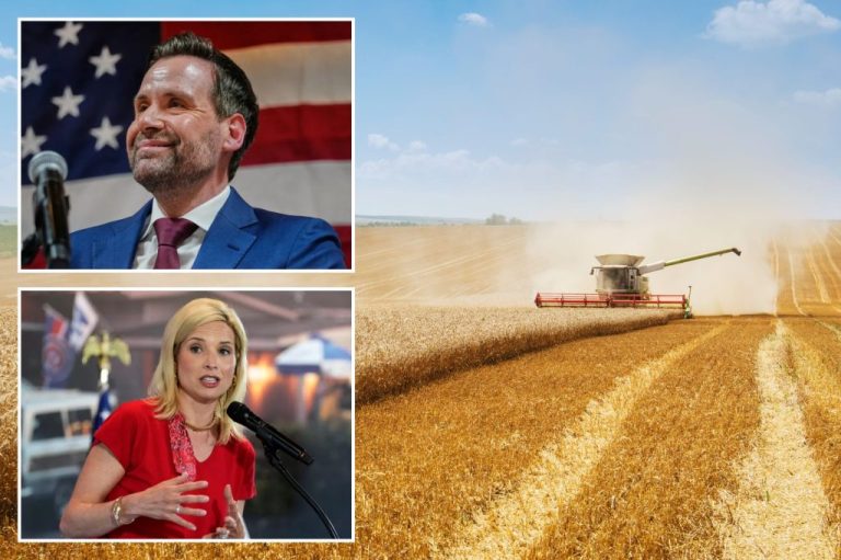 Iowa Democratic state Rep. Josh Turek and Rep. Ashley Hinson (R-IA)