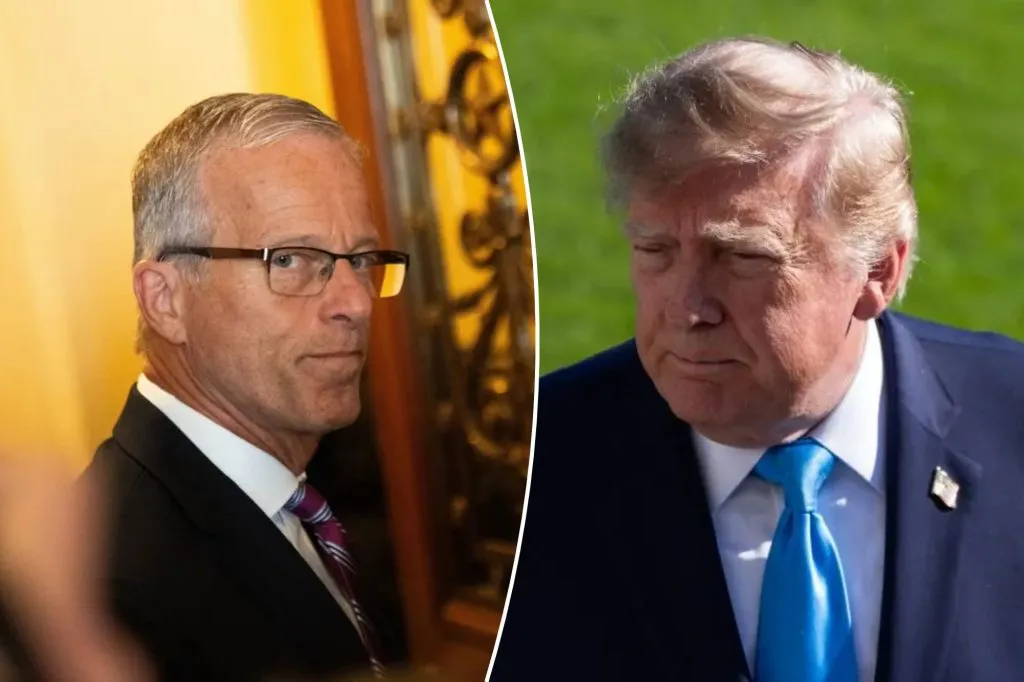 Thune presses Trump for more funding toward swinging battleground races red
