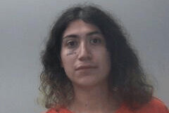 ‘Trans girls need guns’: Terrorism inquiry puts supporter of leftist gun community behind bars