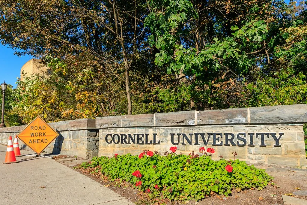 The internet runs wild with the Cornell rape case 
